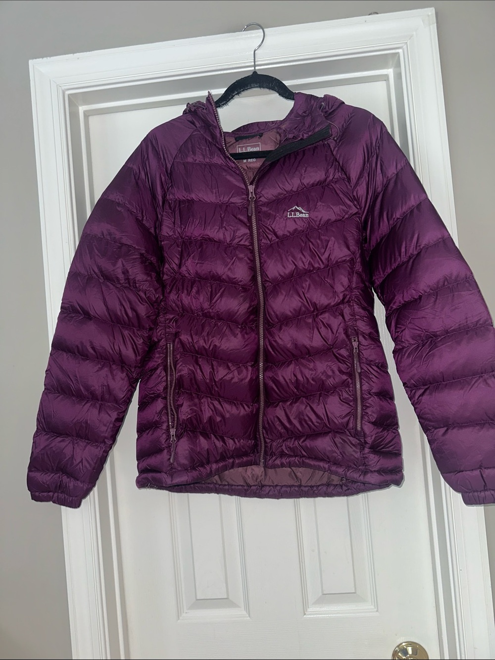 LL Bean ultra light down 850 jacket